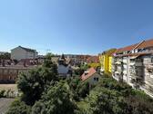 Blick - 