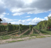 Wohnen an den Weinbergen - Zwei Häuser ein Preis - Herxheim am Berg