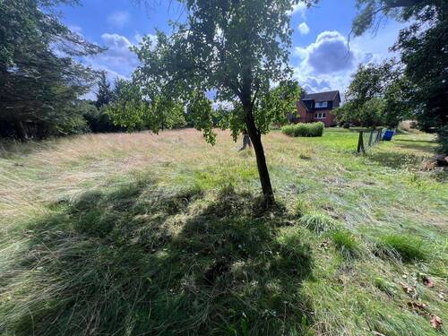 Grundstück - Grundstück zum Kaufen in Bergen (Dumme)