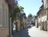 Straßenverlauf - 1 Zimmer Mehrfamilienhaus, Wohnhaus zum Kaufen in Deidesheim
