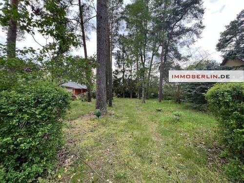 3.jpg - Grundstück zum Kaufen in Beelitz