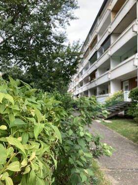 Detailansicht - Etagenwohnung mit 68,60 m² in Dessau-Roßlau zur Miete
