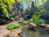 Garten Impressionen - 