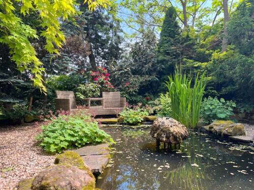 Garten Impressionen - 