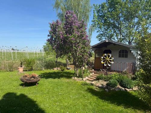 Bild 4 - Einfamilienhaus mit 143,00 m² in Coswig zum Kaufen