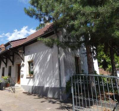 Außenansicht Südseite - 4 Zimmer Einfamilienhaus in Deidesheim