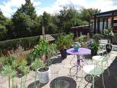Blick in den Garten - 