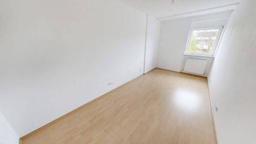 Bild8 - 