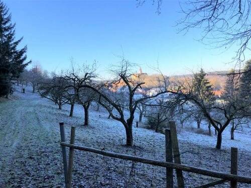 Streuobstwiese - 