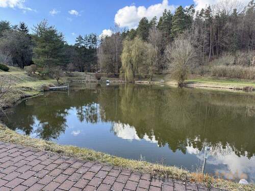 92059271-A21D-4AA0-99B2-DFBF9B2D74A5_1_105_c - 9 Zimmer Einfamilienhaus zum Kaufen in Haundorf / Obererlbach