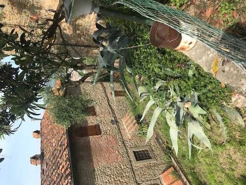 BlickaufNachbarhaus - 