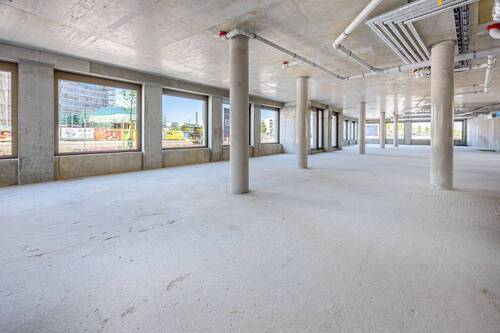 Transparenter Einblick in den Rohbau - 