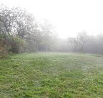 Grundstück für ein EFH, DHH, 3 Familienhaus - Creußen Lindenhardt