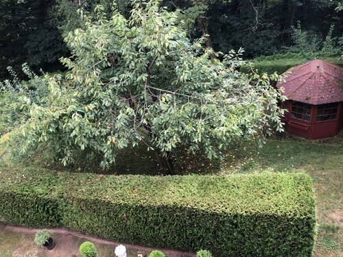 Garten - 5 Zimmer Etagenwohnung zur Miete in Blieskastel