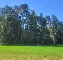 Bauerwartungsland - 77.000,00&nbsp;EUR Kaufpreis, ca.&nbsp; 0,00&nbsp;m&sup2; in Büchenbach (PLZ: 91186) Aurau