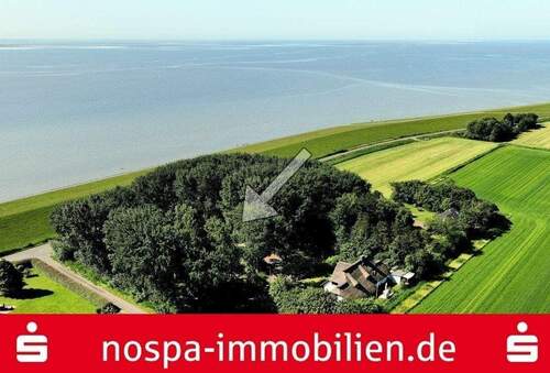 Beste Lage - Wo die Eider in die Nordsee mündet!