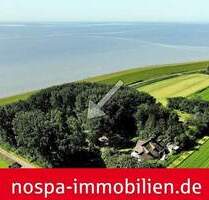 Wo die Eider in die Nordsee mündet! - Vollerwiek