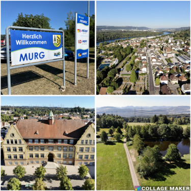 Collage_Murg_1.png - 