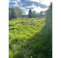 Großes Baugrundstück in Bestensee - Ob Eigennutzung oder Investition - Sie entscheiden!