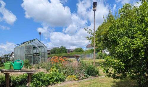 Blick in den Garten - 