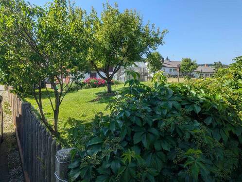 Garten m. Obstbäumen - 