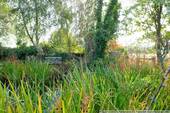 Bank am Teich - 
