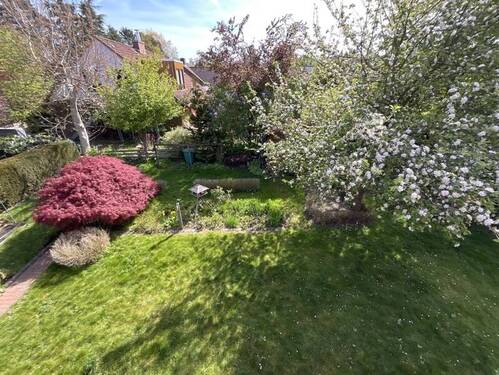 Blick in den Garten - 