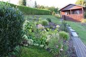 Bild 12 - 