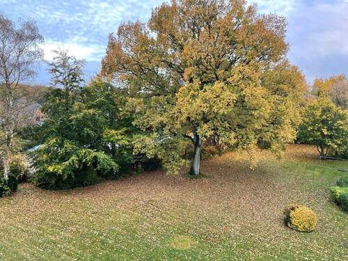 Blick vom Balkon - 