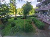 Vordere Grünanlage - 