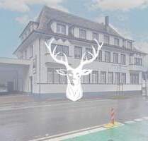 Einzigartiges Geschäftshaus mit Krisensicherem Ankermieter in Schwenningen zu verkaufen - Villingen-Schwenningen