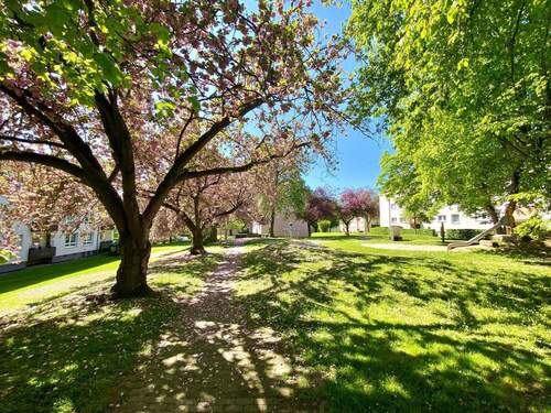 Spielplatz Gregorstraße - Etagenwohnung mit 65,80 m&sup2; in Fritzlar zur Miete