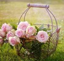 Schwellenlose EG-Wohnung mit kleiner Terrasse für alle Altersgruppen in Hohenschönhausen - Berlin Alt-Hohenschönhausen