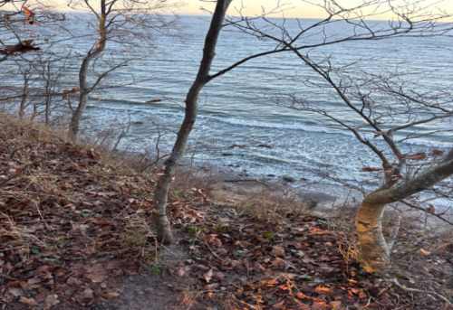 {5C14C715-7AA4-461E-85A7-AC5136490730