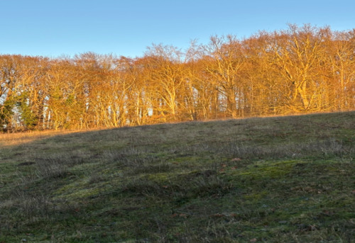 {CAA94CCA-41DF-40F5-AD40-3D9EFDD6E37D