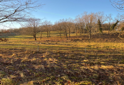 {C774F7A4-99B9-4FEF-BD6C-C69DA2481003