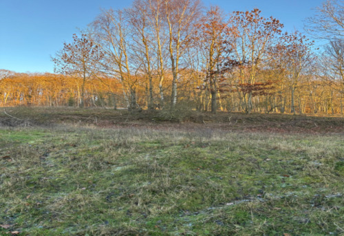 {591DC8E2-67DD-431F-983F-5863412D5F13