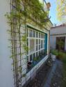 Gartenfenster - 