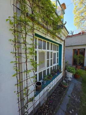 Gartenfenster - 