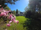Blick zum Bungalow - 