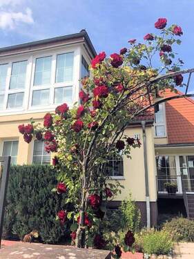Haus vorne (2).jpg - 1 Zimmer Einfamilienhaus in Birkenwerder