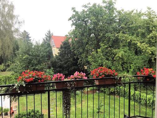 Garten (6).jpg - 