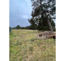 Sofort bebaubares großzügiges Baugrundstück im schönen Borgsdorf - Hohen Neuendorf