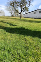 ChatGPT Image 6. Aug. 2025, 10_36_39 - Traumhaftes Baugrundstück im Herzen des Westerwaldes - mit Bauvorbescheid für Ihr Einfamilienhaus