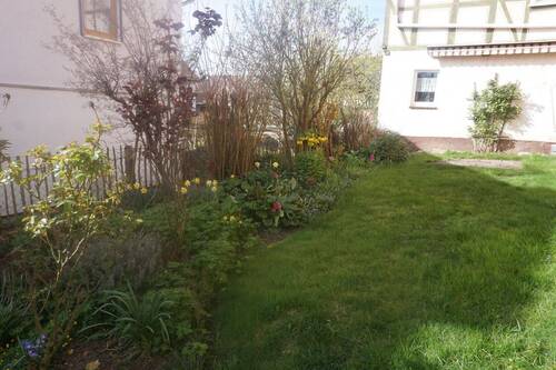 wunderschöner Garten.JPG - 