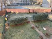 Hofbereich - 