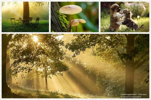 Schaffen Sie Ihr persönliches Paradies - 