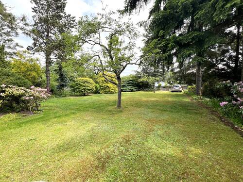 Blick auf das Grundstück - 2 Zimmer Mehrfamilienhaus, Wohnhaus zum Kaufen in Storkow (Mark) / Görsdorf bei Storkow