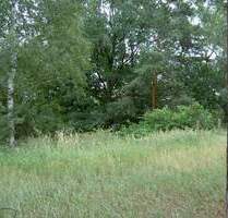 Baugrundstück im Zentrum von Senftenberg