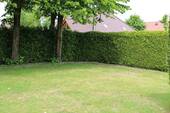 Bild 22 - 